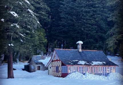 From Plains to Peaks: Amritsar to Dalhousie & Dharamshala Tour