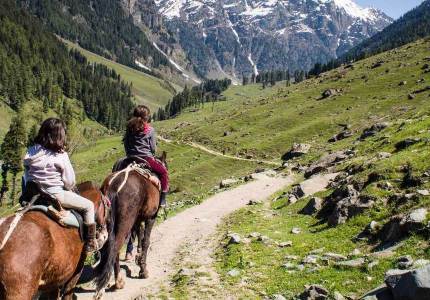 Week of Wonders: Srinagar, Pahalgam, Gulmarg in 7 Days
