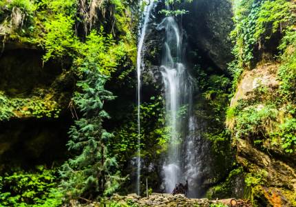 From Plains to Peaks: Amritsar to Dalhousie & Dharamshala Tour
