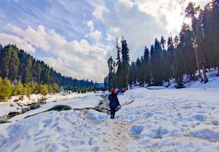 Jammu & Kashmir Beauty Trail: Lakes, Temples & Meadows